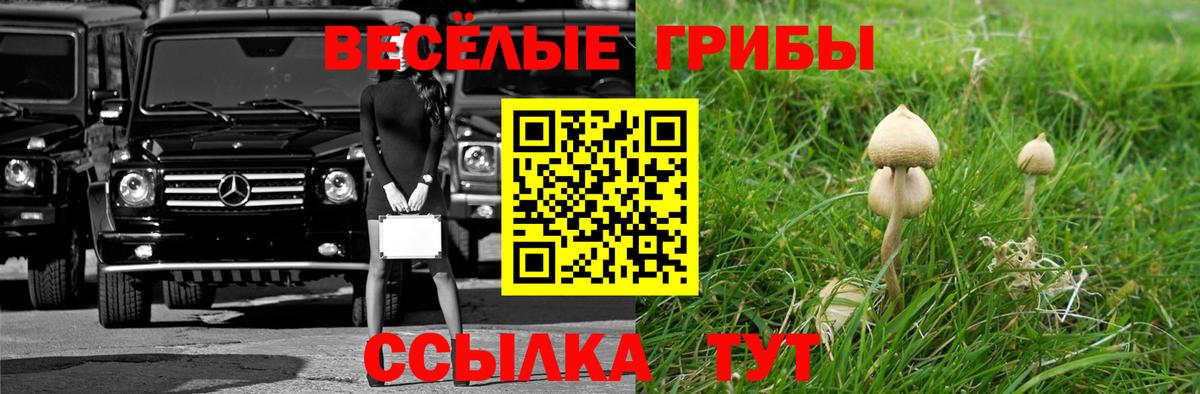 Галлюциногенные грибы мухоморы  Галлюциногенные грибы Cubensis  Вход с VPN  Чусовой 